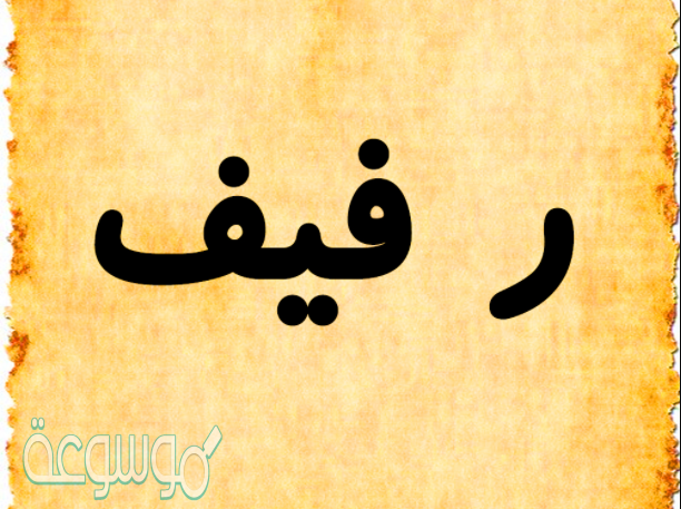 ما معنى اسم رفيف في الإسلام والقرآن في المنام ؟