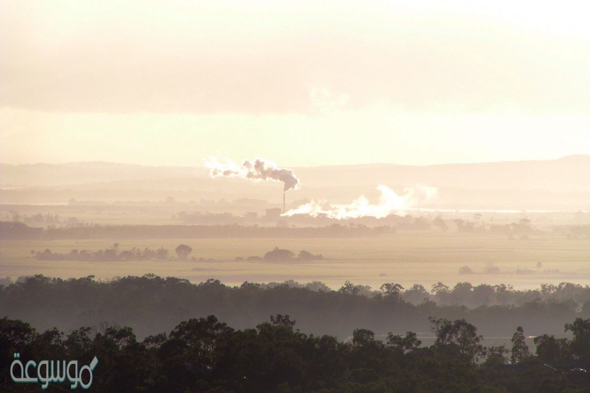 صف أسباب استنزاف طبقة الأوزون والنتائج التي تترتب عنها