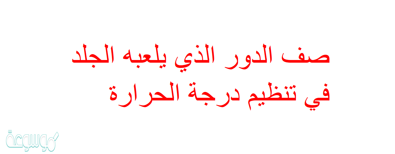 صف الدور الذي يلعبه الجلد في تنظيم درجة الحرارة
