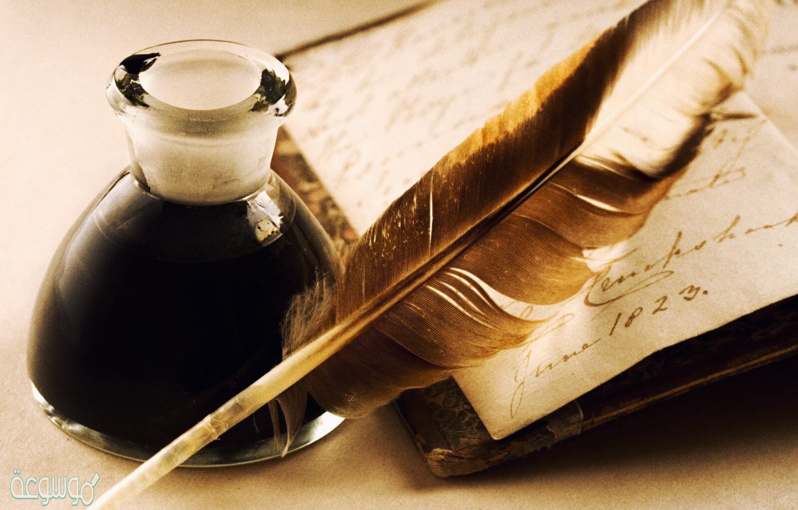 صور الشاعر في البيتين السادس والسابع دور الأم في وصول أبنائها للقمة ، أشرح الصورة الفنية.