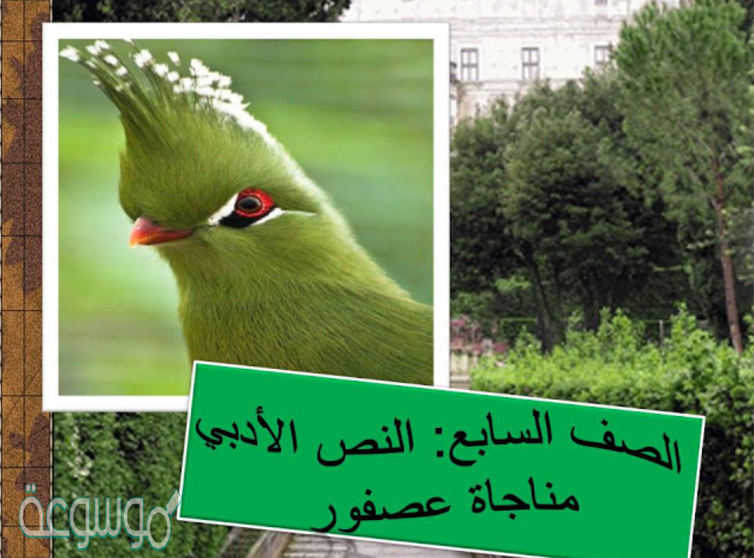 قصيدة مناجاة عصفور شرح