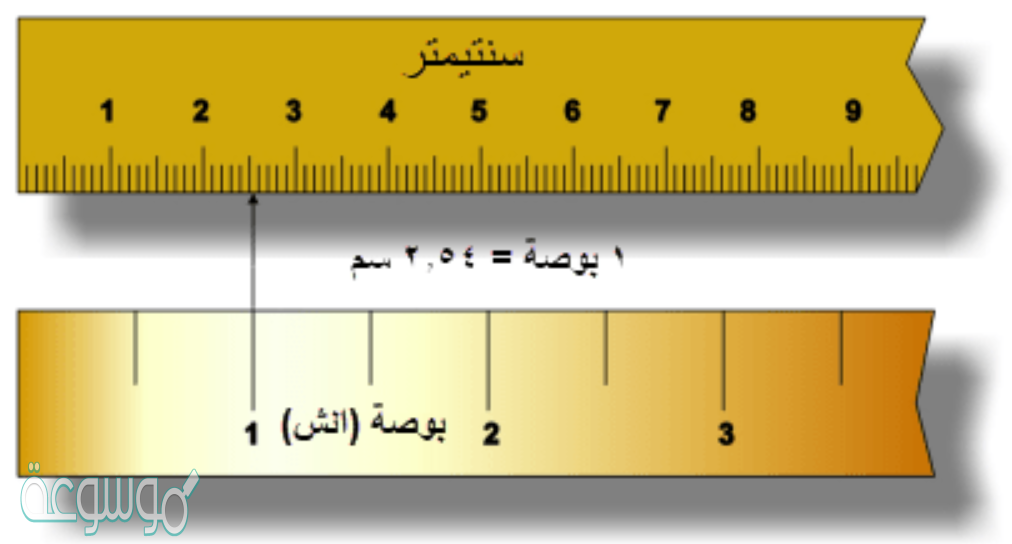 كم طالبا أطوالهم من 54 إلى 71 بوصة