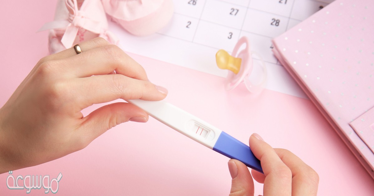 كيف احسب ايام التبويض بعد الدوره