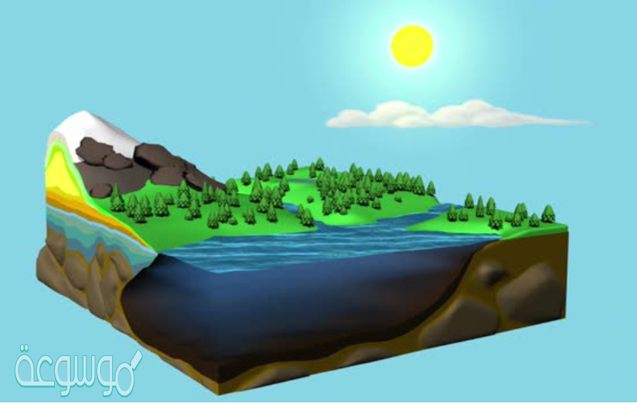 كيف تسبب الطاقة دورة الماء في الطبيعة