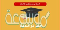 كيفية الحصول على منح دراسية مجانية 2022