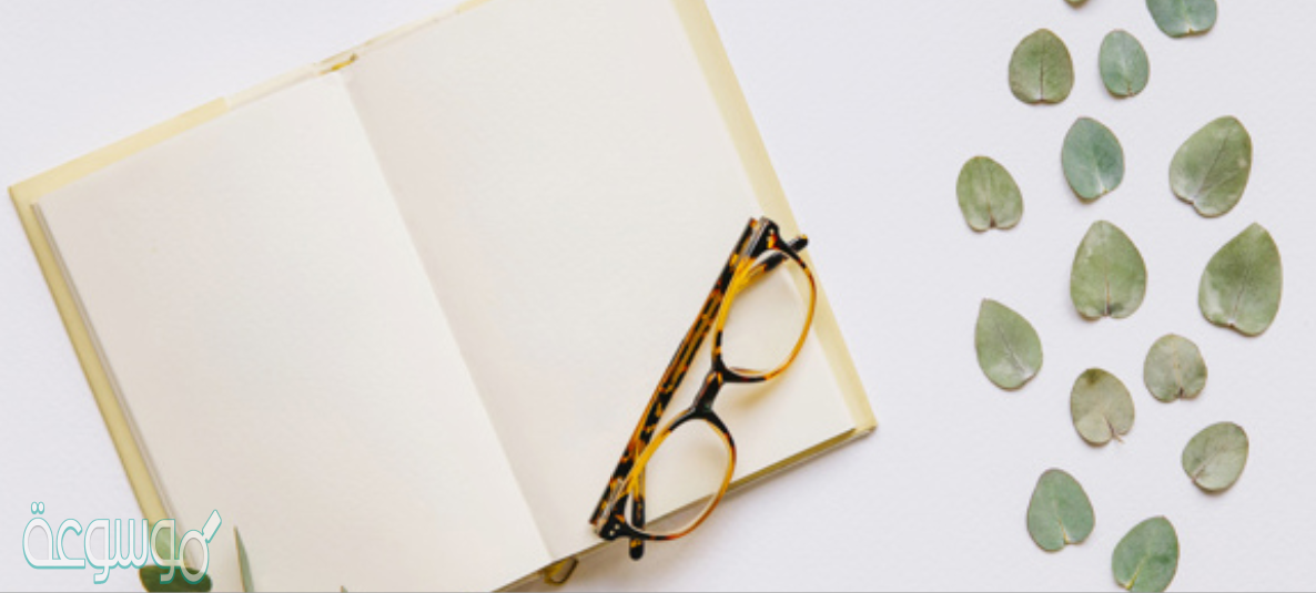 ما الفرق بين النظرية العلمية والقانون العلمي