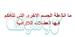 ما انشطة الجسم الاخرى التي تتحكم فيها العضلات اللاإرادية