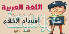 ما هي أنواع الكلمة في اللغة العربية