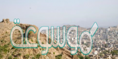 ما هي عاصمة الجمهورية اليمنية قبل صنعاء