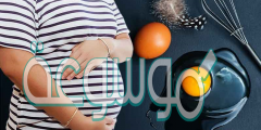ما وظيفة صفار البيض للجنين