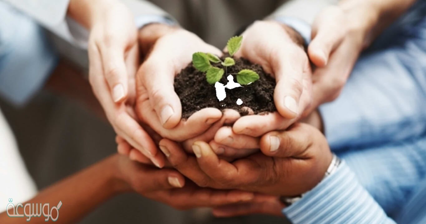 من السلوكيات التي تدل على الوطنية كما ذكرها الكاتب