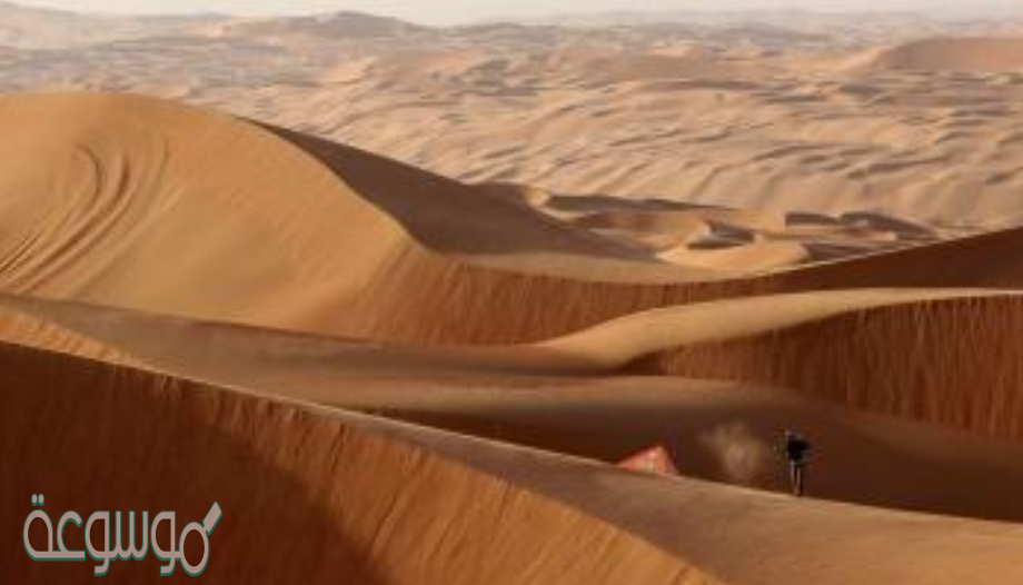 من صحاري المملكه