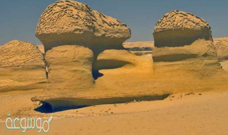 وضح العلاقة بين التعرية والملوثات