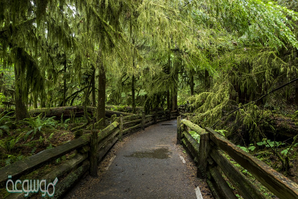 وضح الفرق بين المنتجات والمستهلكات واذكر ثلاثة امثله لكل منهما