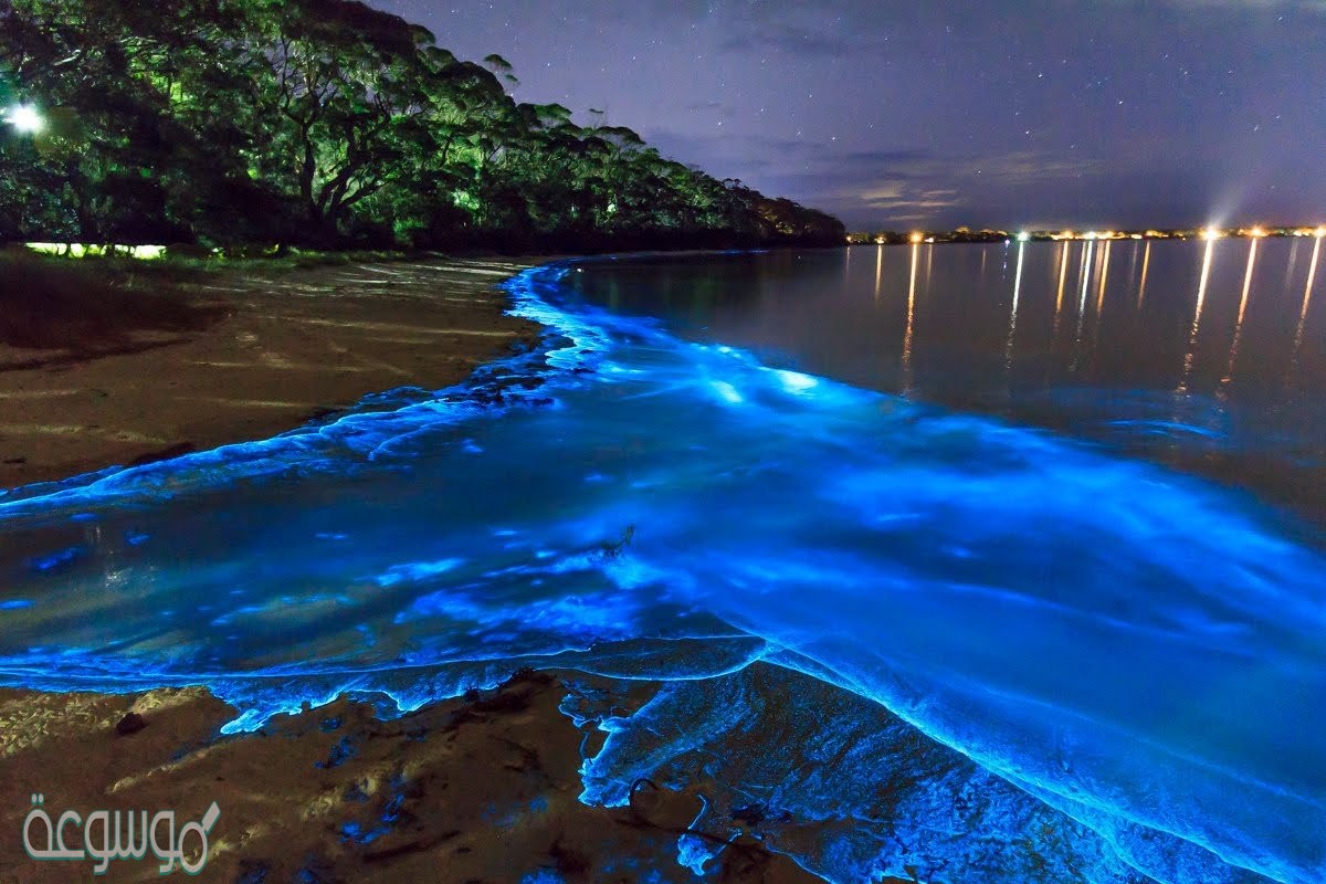 وضح لماذا تبرد رمال الشاطئ ليلاً أسرع من ماء البحر ؟