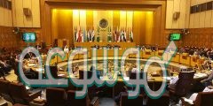 يتم اقرار الانظمة من قبل