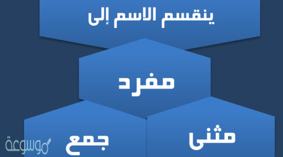 يجر الاسم المفرد