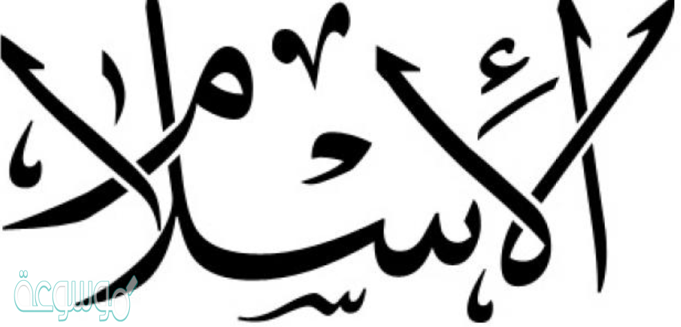 يشتمل تعريف الاسلام على قضيتين اساسيتين