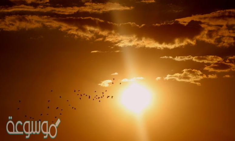 يقصد بالاشعاع الشمسي