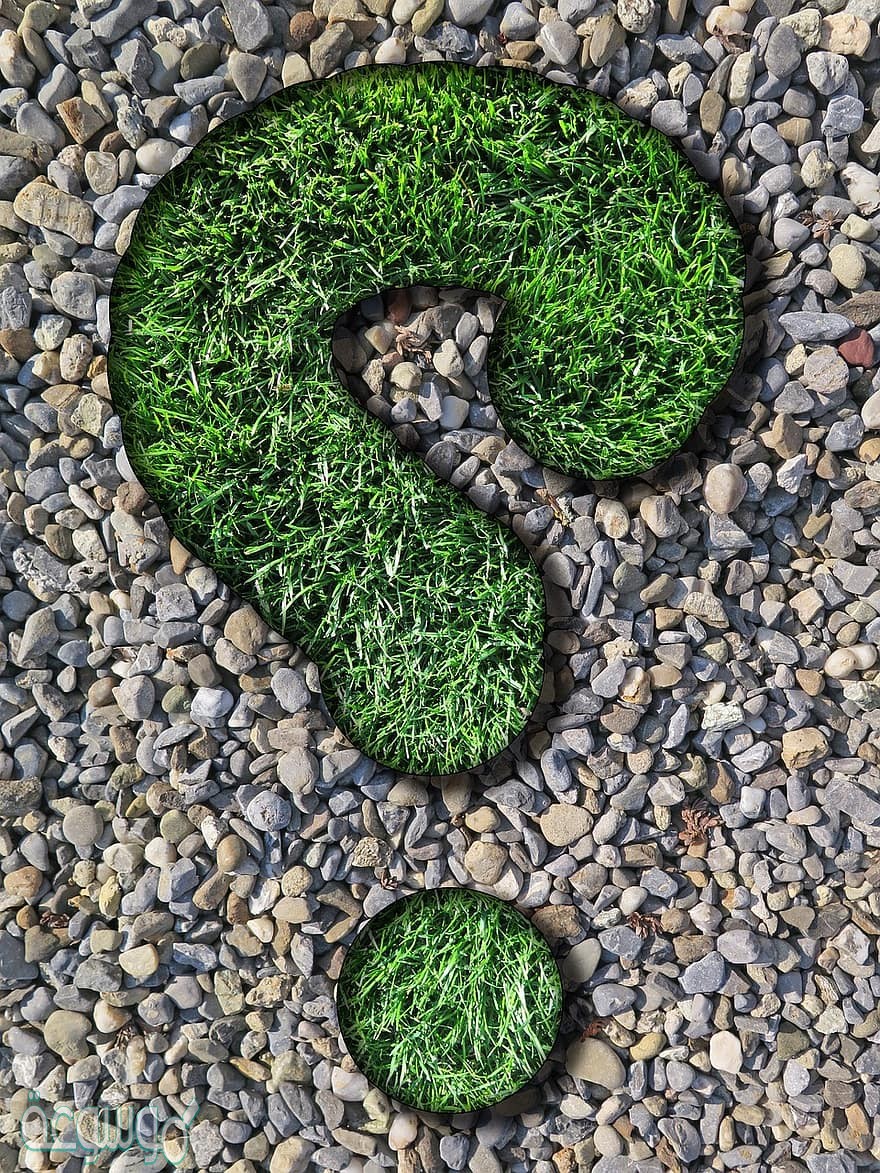 تريد فاطمه ان تصنع اطباق من السلطه