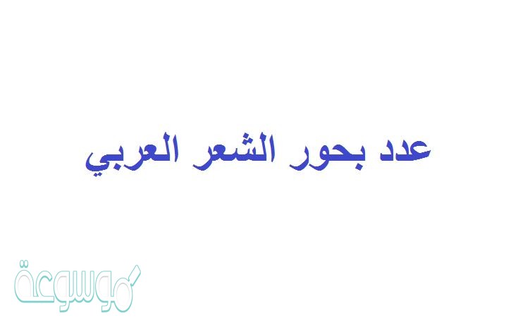 عدد بحور الشعر العربي