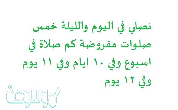 نصلي في اليوم والليلة خمس صلوات مفروضة كم صلاة في اسبوع وفي 10 ايام وفي 11 يوم وفي 12 يوم