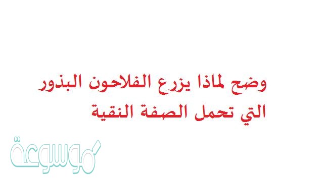 وضح لماذا يزرع الفلاحون البذور التي تحمل الصفة النقية