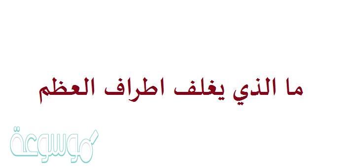 ما الذي يغلف اطراف العظم