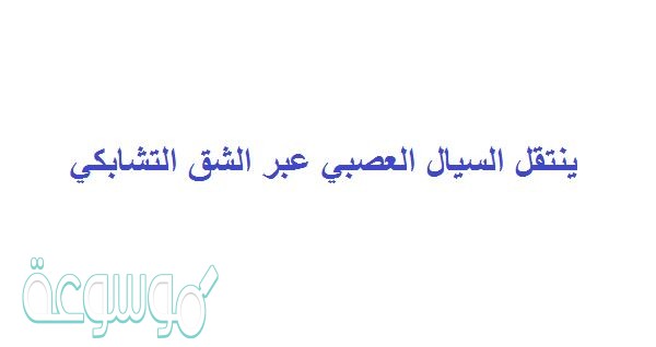 ينتقل السيال العصبي عبر الشق التشابكي