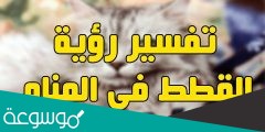 تفسير رؤية القطط او القطة في المنام