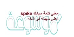 معنى كلمة سبايك spike معنى سبيكة في اللغة