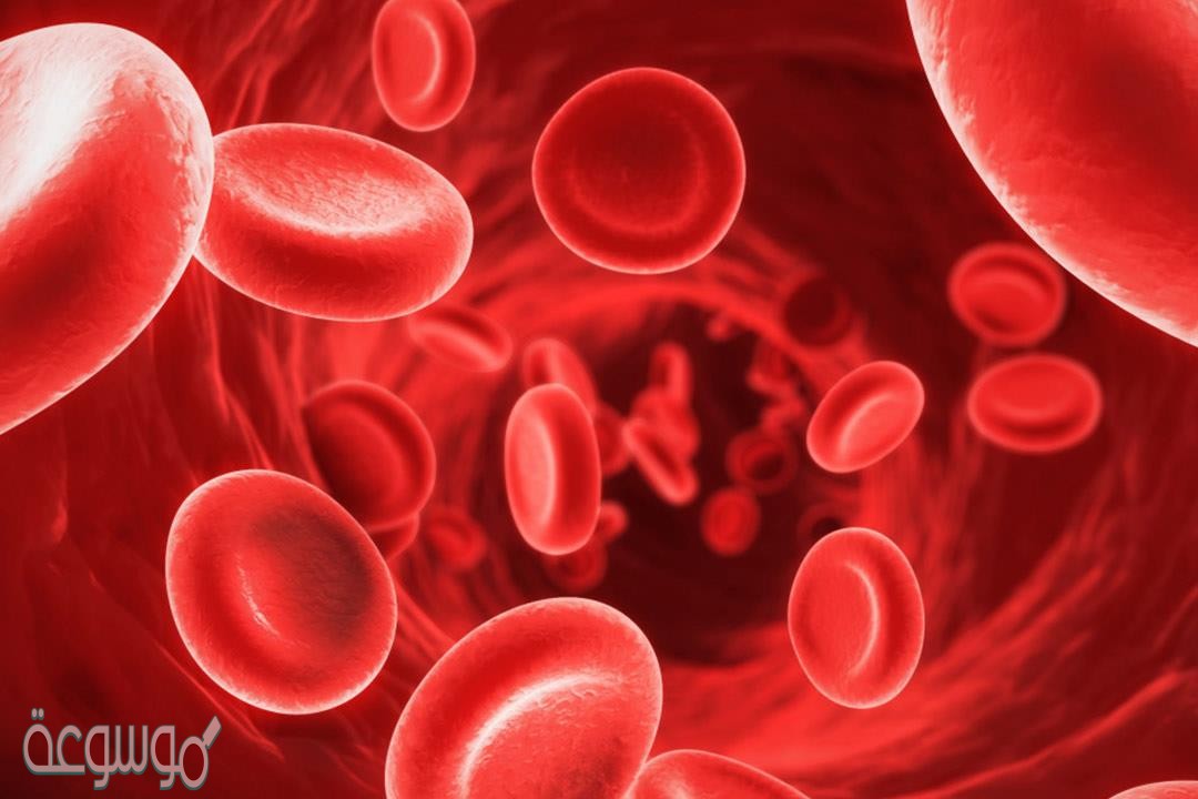 نسبة الحديد الطبيعي