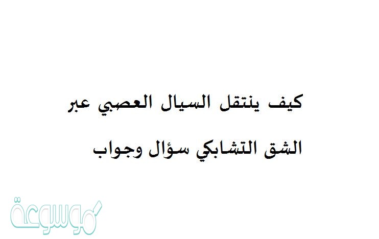 كيف ينتقل السيال العصبي عبر الشق التشابكي سؤال وجواب