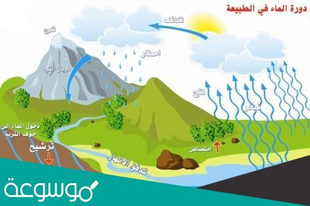 يسمى تحول بخار الماء إلى سائل في دوره الماء