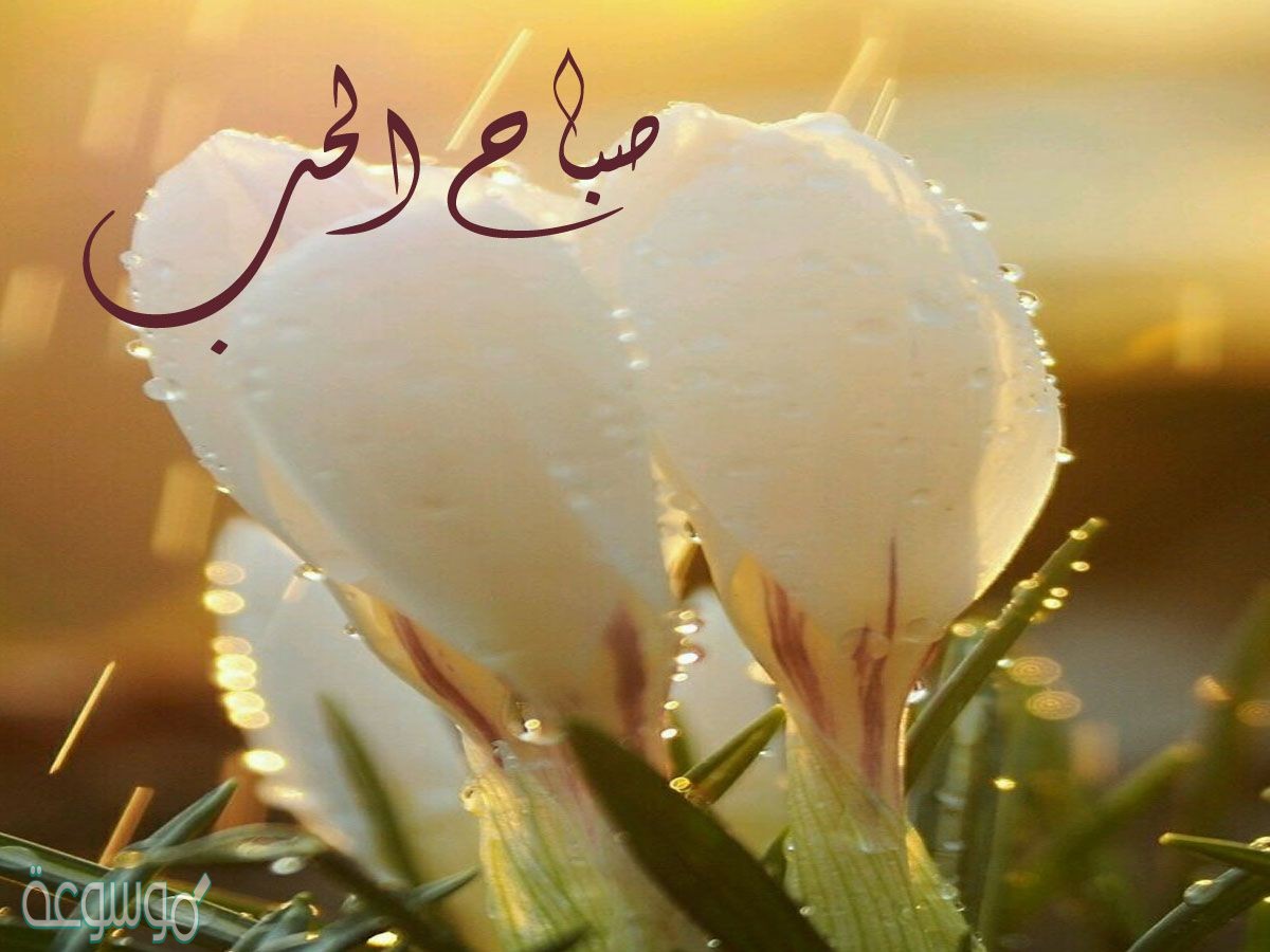 كلام صباح التفاؤل 2021 أحلى صور عن التفاؤل