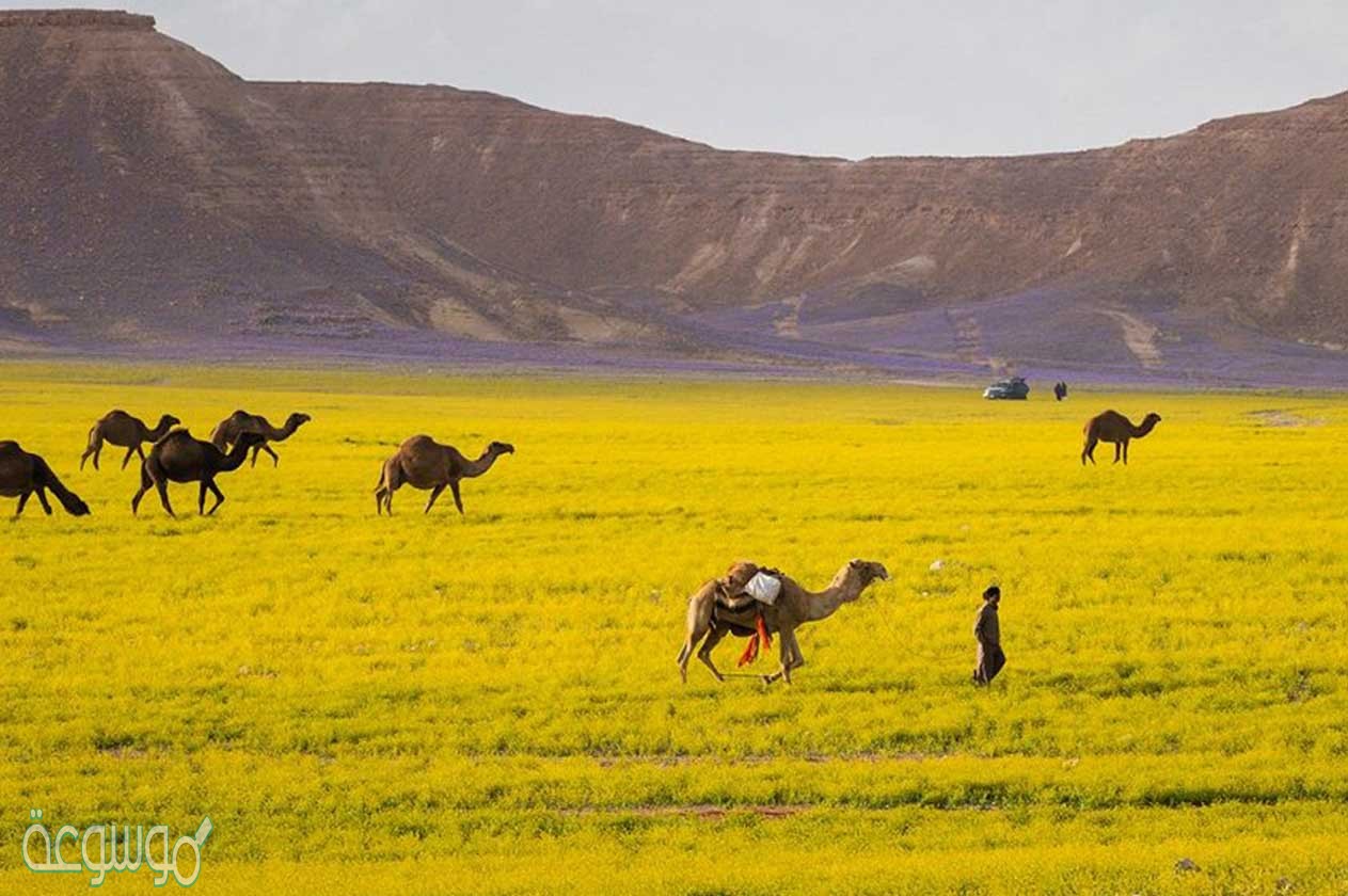 اقوال عن شهر مارس