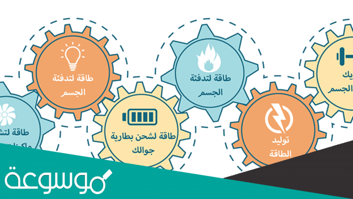 تحول طاقة الغذاء الى شكل اخر من الطاقة