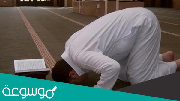 آكد السنن الرواتب هي