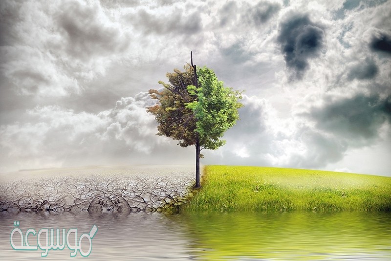 معنى الايمان بالقدر خيره وشره