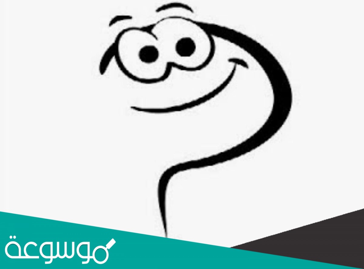 حل لغز قال كم عمرك يا سيدتي فقالت انجبت 9 اولاد