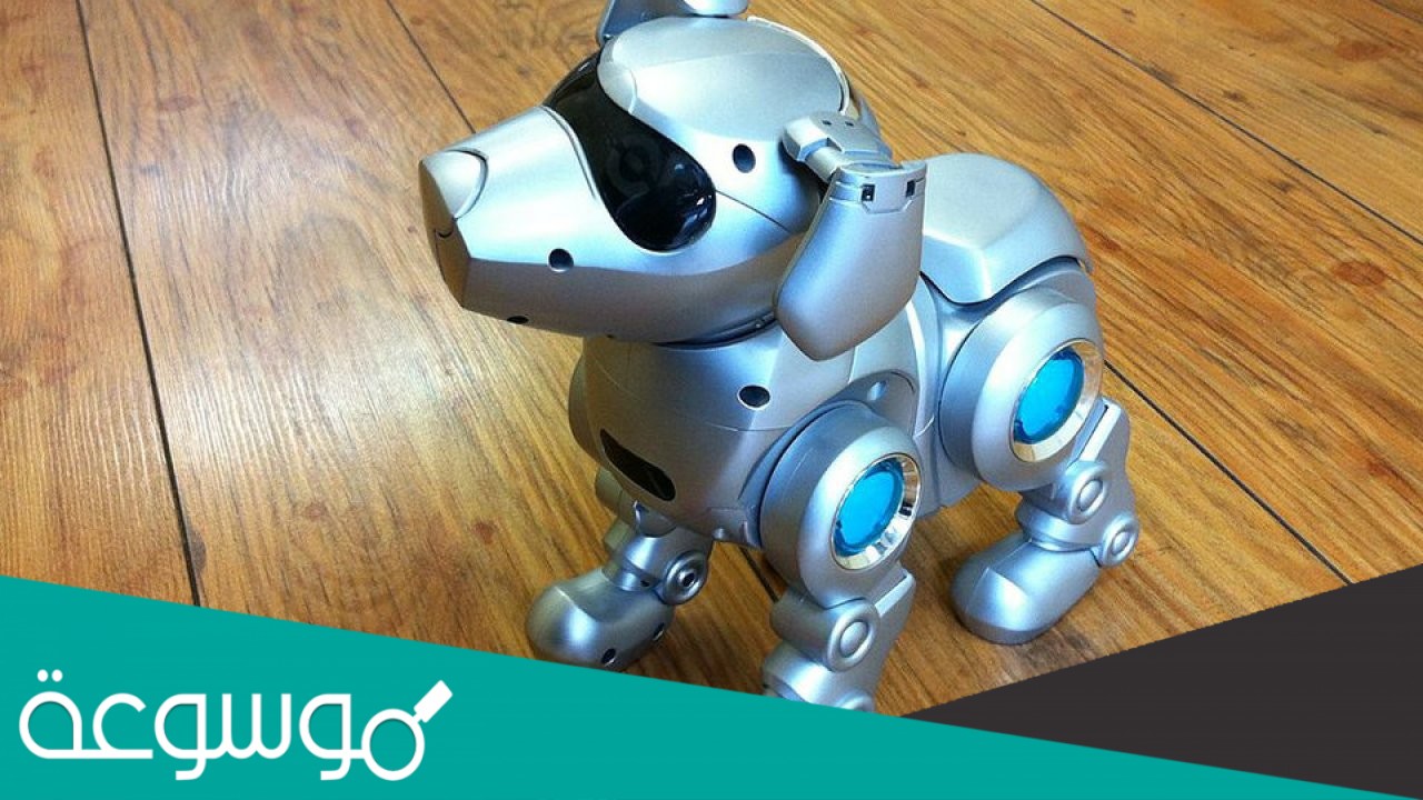من تطبيقات الروبوت في حياتنا