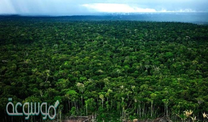 تلوث البيئة من أكبر المشكلات