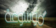 اي مما يأتي عاصفة ذات ضغط منخفض في مركزها