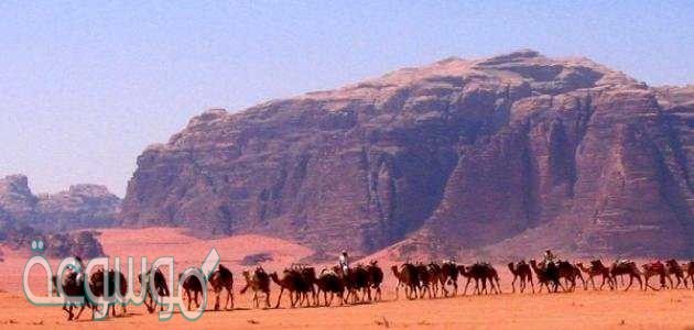 الى اين كانت هجرة النبي صلى الله عليه وسلم