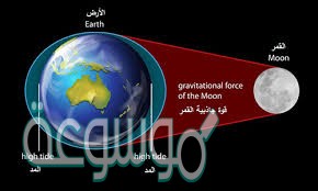 تاثير القمر في المد والجزر