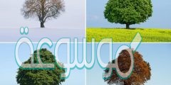 سبب حدوث الفصول الاربعة