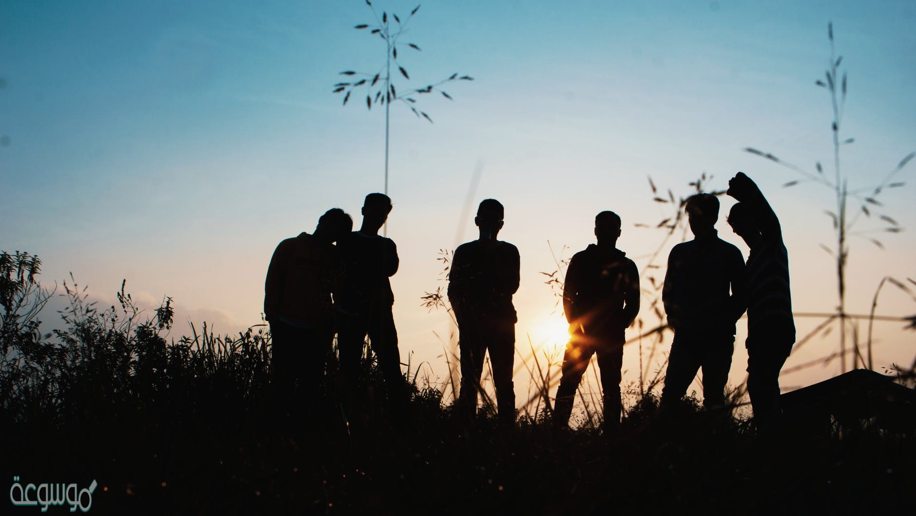 جمع معلومات في قضية من قضايا الشباب