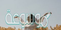 احلى عبارات تحفيزية للمرأة 2022