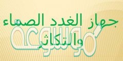 جهاز الغدد الصماء والتكاثر
