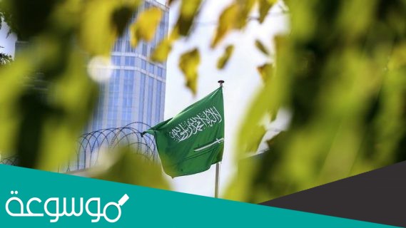 نظام هيئه البيعة